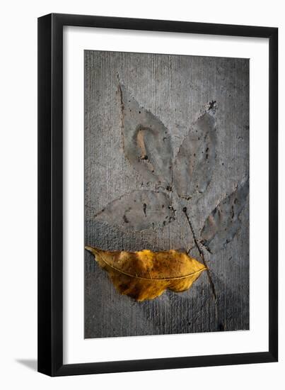 Cement Autumn 1295-Gordon Semmens-Framed Photographic Print