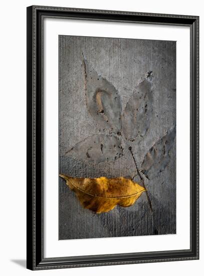 Cement Autumn 1295-Gordon Semmens-Framed Photographic Print