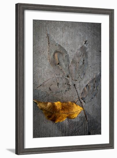 Cement Autumn 1295-Gordon Semmens-Framed Photographic Print