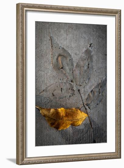 Cement Autumn 1295-Gordon Semmens-Framed Photographic Print