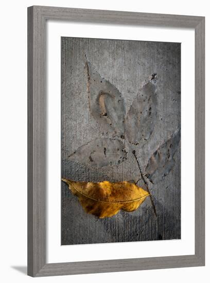 Cement Autumn 1295-Gordon Semmens-Framed Photographic Print