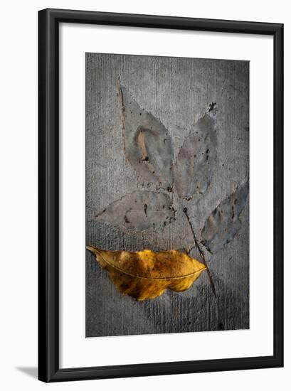 Cement Autumn 1295-Gordon Semmens-Framed Photographic Print