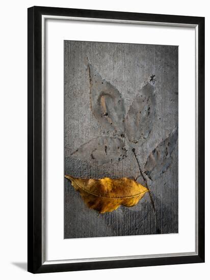 Cement Autumn 1295-Gordon Semmens-Framed Photographic Print