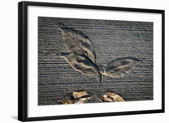 Cement Autumn 1335-Gordon Semmens-Framed Photographic Print