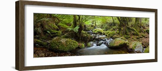 Cement Creek-Wayne Bradbury-Framed Photographic Print