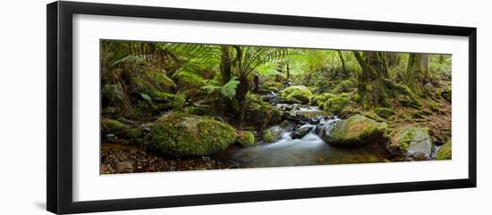 Cement Creek-Wayne Bradbury-Framed Photographic Print