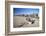 Cemeterio de Trenes (Train Cemetery), Uyuni, Potosi Department, Bolivia, South America-Ian Trower-Framed Photographic Print