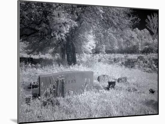 Cemetery, Africa Town, Alabama-Carol Highsmith-Mounted Photo