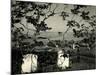 Cemetery and Tree, California, 1955-Brett Weston-Mounted Premium Photographic Print