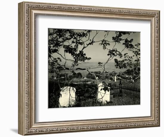Cemetery and Tree, California, 1955-Brett Weston-Framed Photographic Print