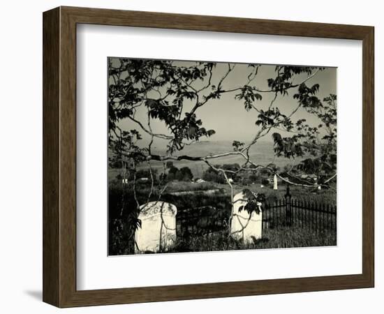 Cemetery and Tree, California, 1955-Brett Weston-Framed Photographic Print