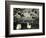 Cemetery and Tree, California, 1955-Brett Weston-Framed Photographic Print