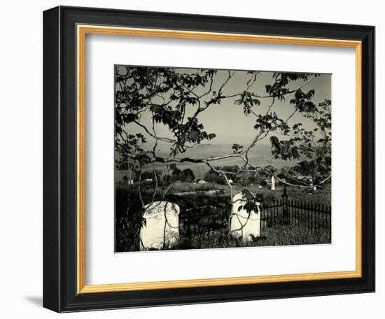 Cemetery and Tree, California, 1955-Brett Weston-Framed Photographic Print