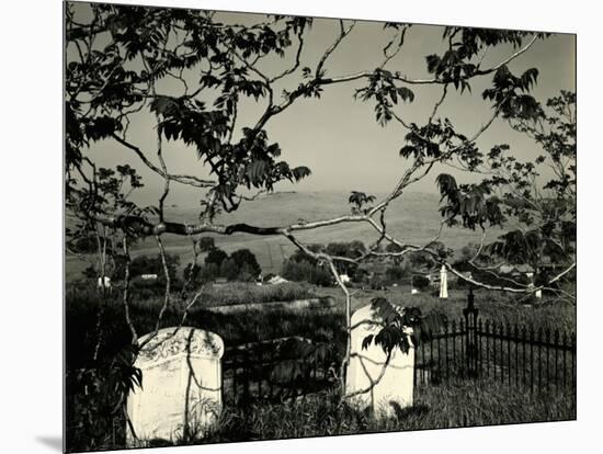 Cemetery and Tree, California, 1955-Brett Weston-Mounted Premium Photographic Print