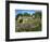 Cemetery at the Small Village of Snowhill, in the Cotswolds, Gloucestershire, England, UK-Nigel Francis-Framed Photographic Print