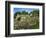 Cemetery at the Small Village of Snowhill, in the Cotswolds, Gloucestershire, England, UK-Nigel Francis-Framed Photographic Print