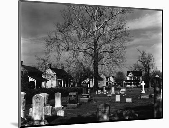 Cemetery, c. 1956-Brett Weston-Mounted Photographic Print