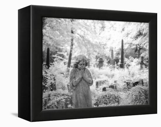 Cemetery in London-Craig Roberts-Framed Premier Image Canvas