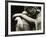 Cemetery Statues, no. 4-Katrin Adam-Framed Photographic Print