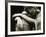 Cemetery Statues, no. 4-Katrin Adam-Framed Photographic Print