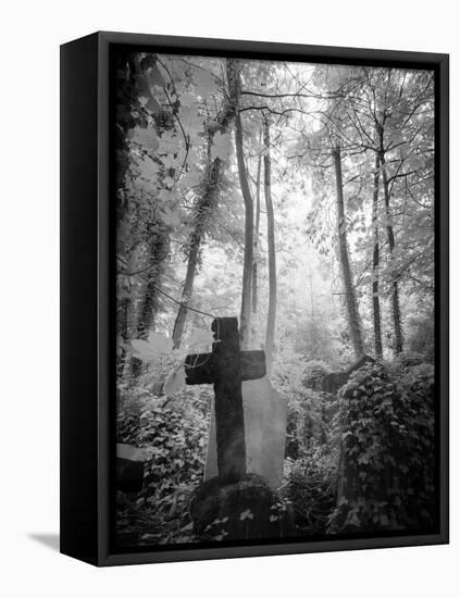 Cemetery with Gravestone-Craig Roberts-Framed Premier Image Canvas