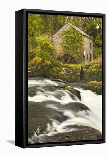 Cenarth Waterfalls, Carmarthenshire, Wales, United Kingdom, Europe-Billy Stock-Framed Premier Image Canvas