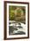 Cenarth Waterfalls, Carmarthenshire, Wales, United Kingdom, Europe-Billy Stock-Framed Photographic Print