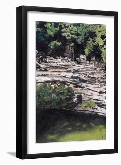 Cenote at Chichen-Itza (Diptych) I, 2003-Pedro Diego Alvarado-Framed Giclee Print