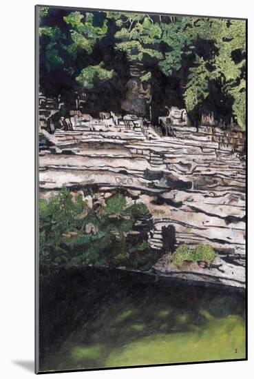 Cenote at Chichen-Itza (Diptych) I, 2003-Pedro Diego Alvarado-Mounted Giclee Print