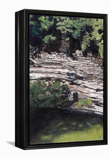 Cenote at Chichen-Itza (Diptych) I, 2003-Pedro Diego Alvarado-Framed Premier Image Canvas