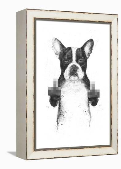 Censored Dog-Balazs Solti-Framed Premier Image Canvas