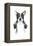 Censored Dog-Balazs Solti-Framed Premier Image Canvas