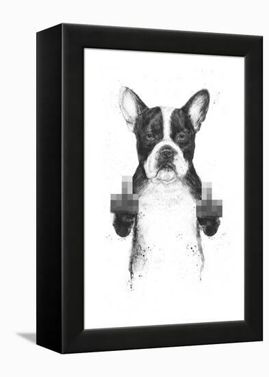 Censored Dog-Balazs Solti-Framed Premier Image Canvas