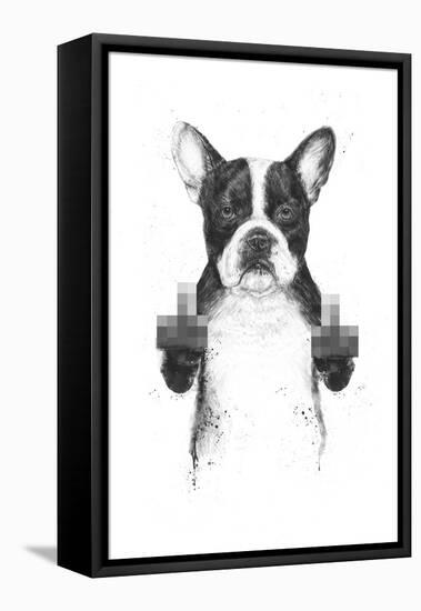 Censored Dog-Balazs Solti-Framed Premier Image Canvas