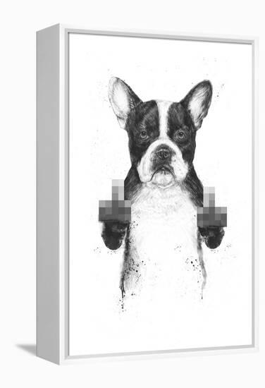 Censored Dog-Balazs Solti-Framed Premier Image Canvas