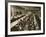 Census Tabulation in Former Lambeth Workhouse-Peter Higginbotham-Framed Photographic Print