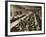 Census Tabulation in Former Lambeth Workhouse-Peter Higginbotham-Framed Photographic Print