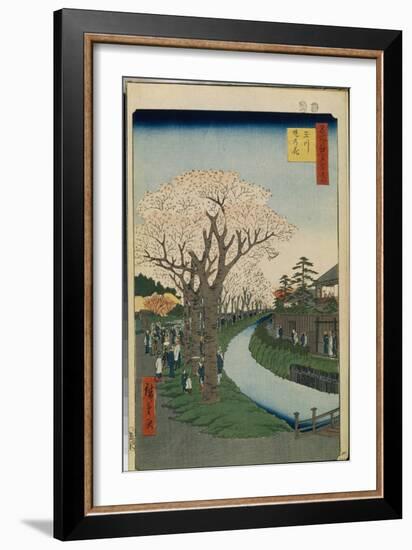 Cent Vues Celebres D'edo : Cherry Blossoms on the Banks of the Tama River (One Hundred Famous Views-Ando or Utagawa Hiroshige-Framed Giclee Print