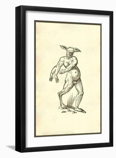 Centaurialia Species-Ulisse Aldrovandi-Framed Art Print