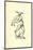 Centaurialia Species-Ulisse Aldrovandi-Mounted Art Print