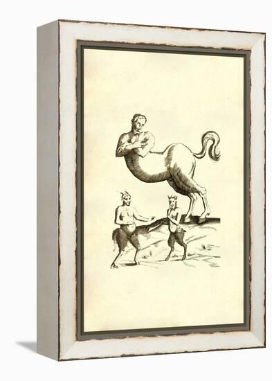 Centaurs & Satyrs-Ulisse Aldrovandi-Framed Stretched Canvas