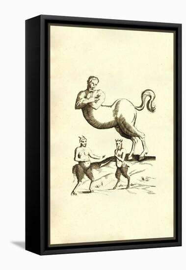 Centaurs & Satyrs-Ulisse Aldrovandi-Framed Stretched Canvas