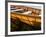 Center for Wooden Boats on Lake Union, Seattle, Washington, USA-William Sutton-Framed Photographic Print