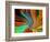 Center of Attention-Ruth Palmer-Framed Art Print