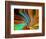 Center of Attention-Ruth Palmer-Framed Art Print