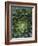 Center of Cactus-Charles O'Rear-Framed Photographic Print