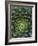 Center of Cactus-Charles O'Rear-Framed Photographic Print