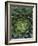 Center of Cactus-Charles O'Rear-Framed Photographic Print