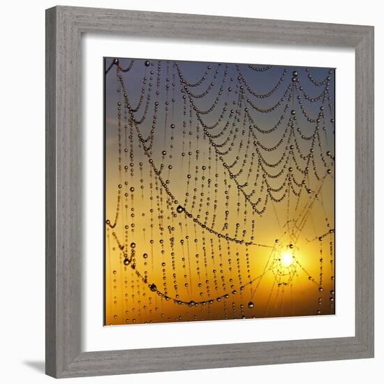 Center of its Universe-Adrian Campfield-Framed Photographic Print