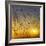 Center of its Universe-Adrian Campfield-Framed Photographic Print